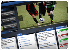 Professional Themes